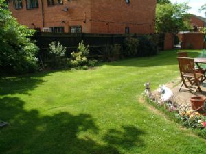 Photo 6- click for photo gallery